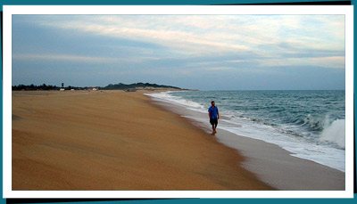 Arugam Bay tour