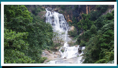 Ella waterfall SriLanka