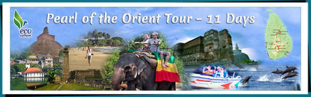 7 Day Orient Tour