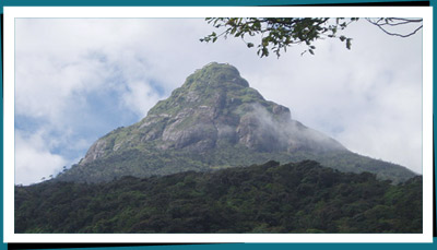 Adam's Peak climbing
