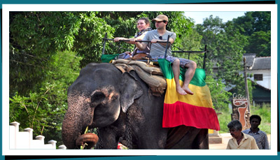 ride elephant tour