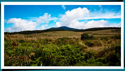 Sri Lanka trekking