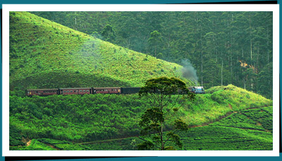 Srilanka Train Tour
