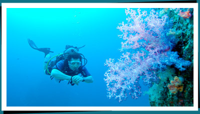 Diving sri lanka