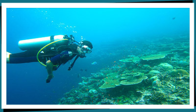 Diving sri lanka