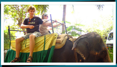 Elephant riding Srilanka